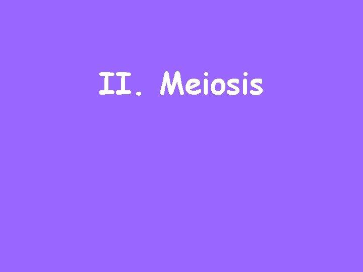 II. Meiosis 