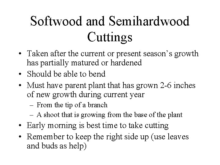 Softwood and Semihardwood Cuttings • Taken after the current or present season’s growth has