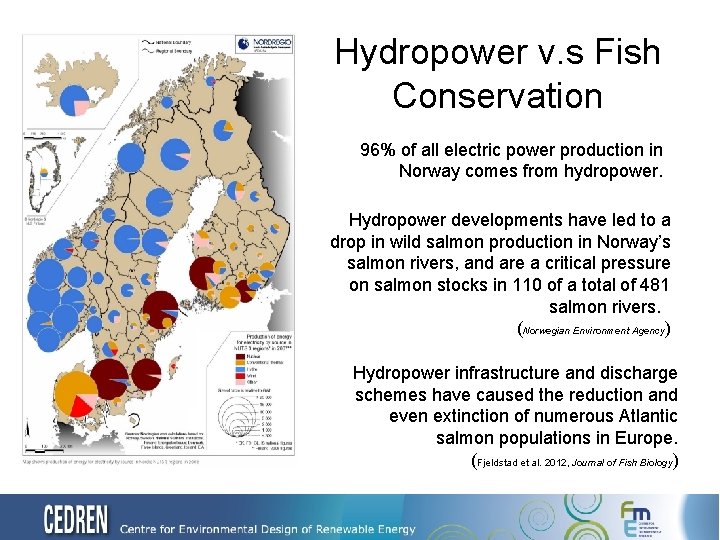Hydropower v. s Fish Conservation 96% of all electric power production in Norway comes