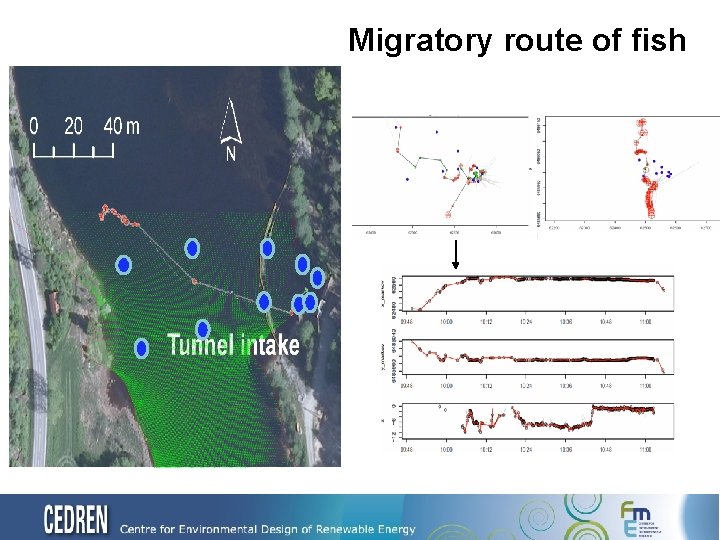 Migratory route of fish 