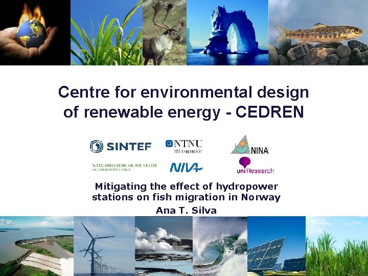 Centre for environmental design of renewable energy - CEDREN Mitigating the effect of hydropower