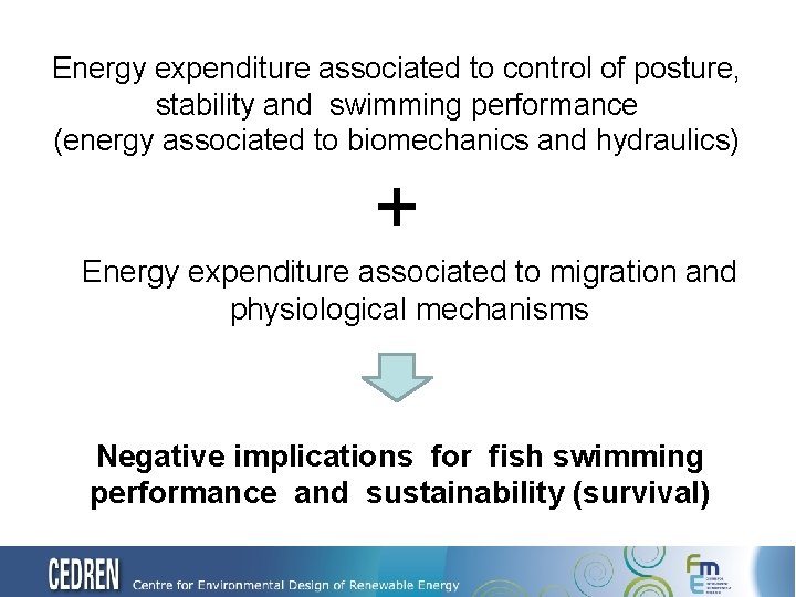 Energy expenditure associated to control of posture, stability and swimming performance (energy associated to