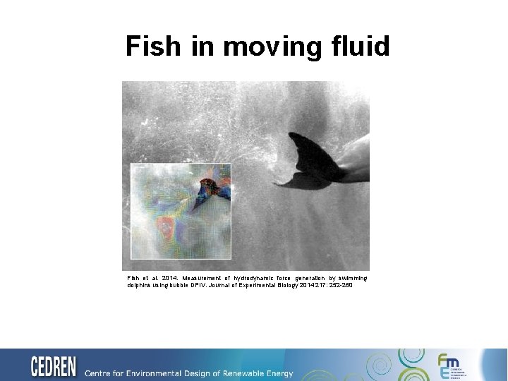Fish in moving fluid Fish et al. 2014. Measurement of hydrodynamic force generation by