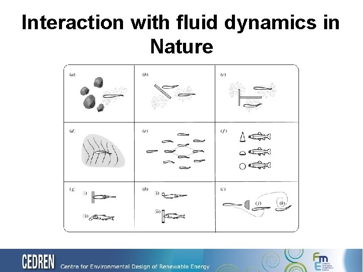 Interaction with fluid dynamics in Nature 