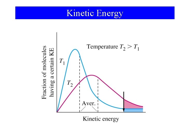 Kinetic Energy 