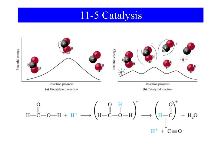 11 -5 Catalysis 