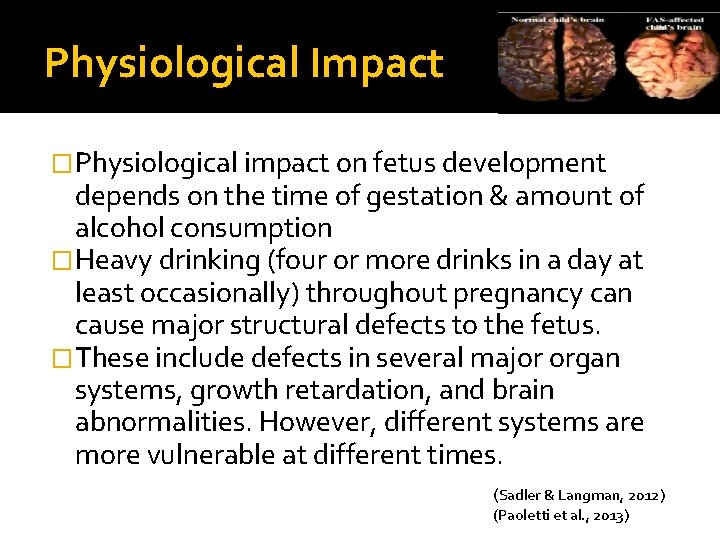 Physiological Impact �Physiological impact on fetus development depends on the time of gestation &