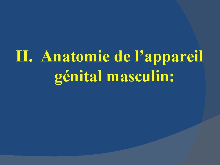 II. Anatomie de l’appareil génital masculin: 