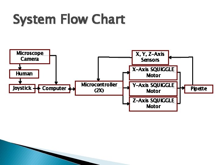 System Flow Chart Microscope Camera X, Y, Z-Axis Sensors X-Axis SQUIGGLE Motor Human Joystick