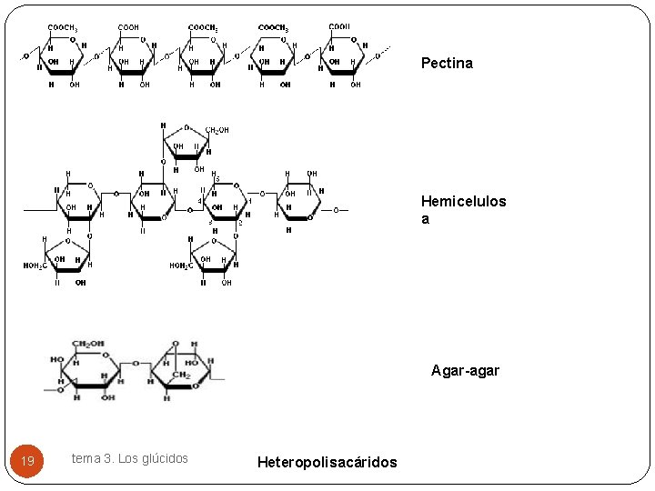 Pectina Hemicelulos a Agar-agar 19 tema 3. Los glúcidos Heteropolisacáridos 