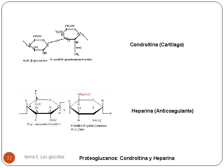 Condroitina (Cartilago) Heparina (Anticoagulante) 22 tema 3. Los glúcidos Proteoglucanos: Condroitina y Heparina 