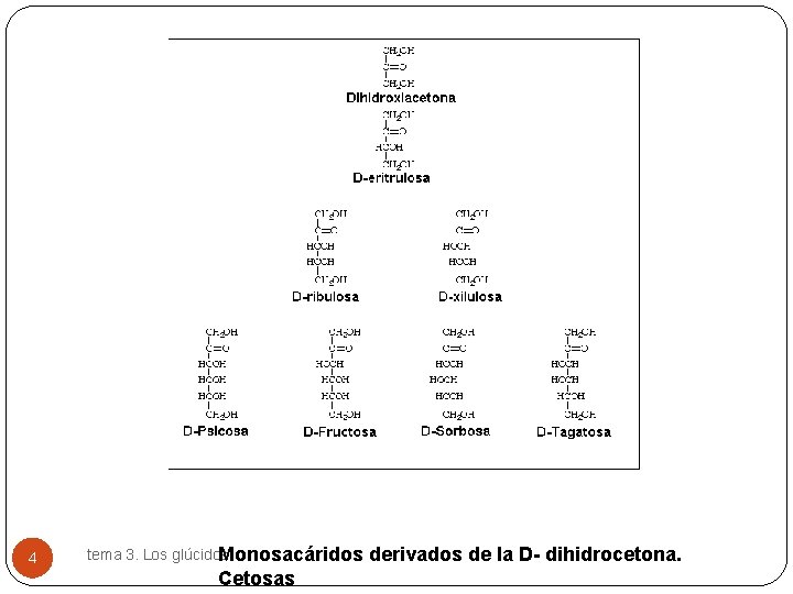 4 tema 3. Los glúcidos Monosacáridos Cetosas derivados de la D- dihidrocetona. 
