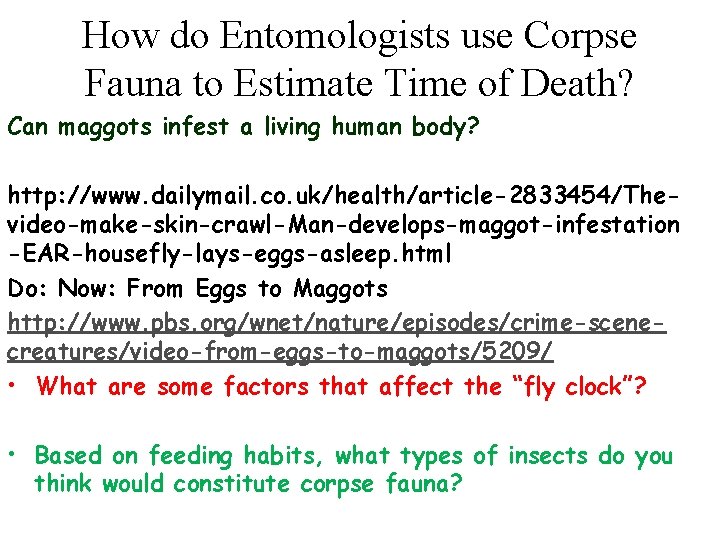 How do Entomologists use Corpse Fauna to Estimate Time of Death? Can maggots infest