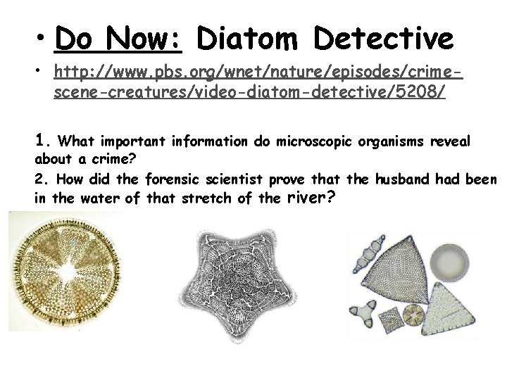  • Do Now: Diatom Detective • http: //www. pbs. org/wnet/nature/episodes/crimescene-creatures/video-diatom-detective/5208/ 1. What important