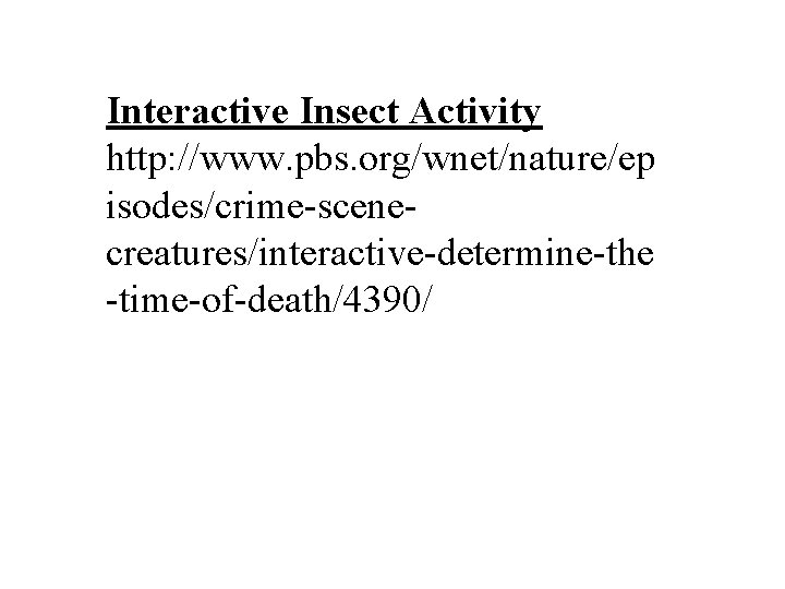 Interactive Insect Activity http: //www. pbs. org/wnet/nature/ep isodes/crime-scenecreatures/interactive-determine-the -time-of-death/4390/ 