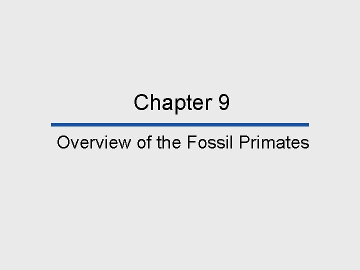 Chapter 9 Overview of the Fossil Primates 