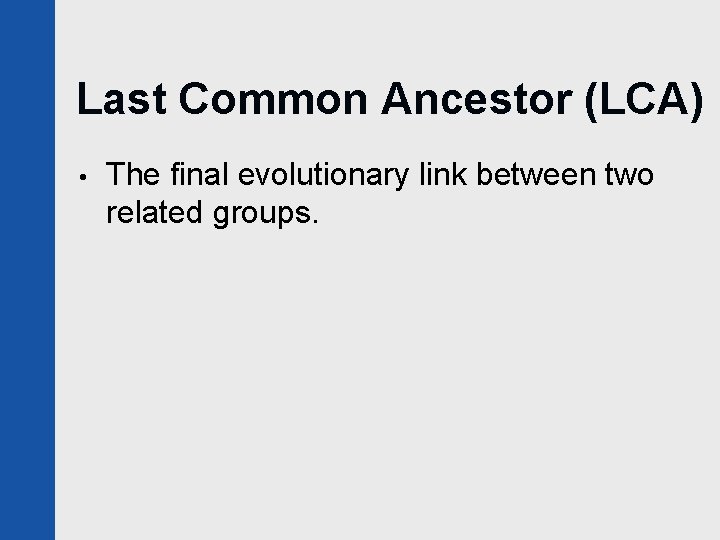 Last Common Ancestor (LCA) • The final evolutionary link between two related groups. 