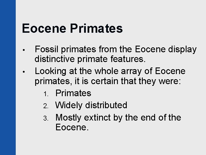 Eocene Primates • • Fossil primates from the Eocene display distinctive primate features. Looking