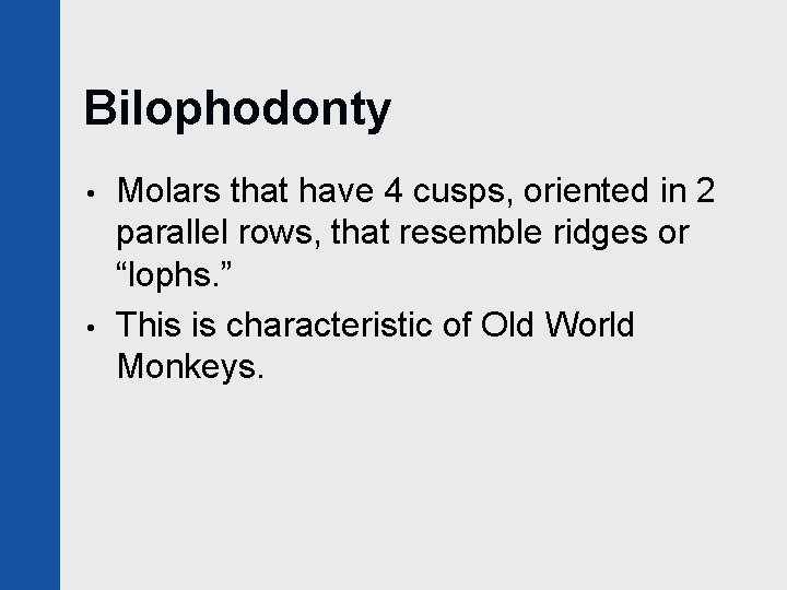 Bilophodonty • • Molars that have 4 cusps, oriented in 2 parallel rows, that