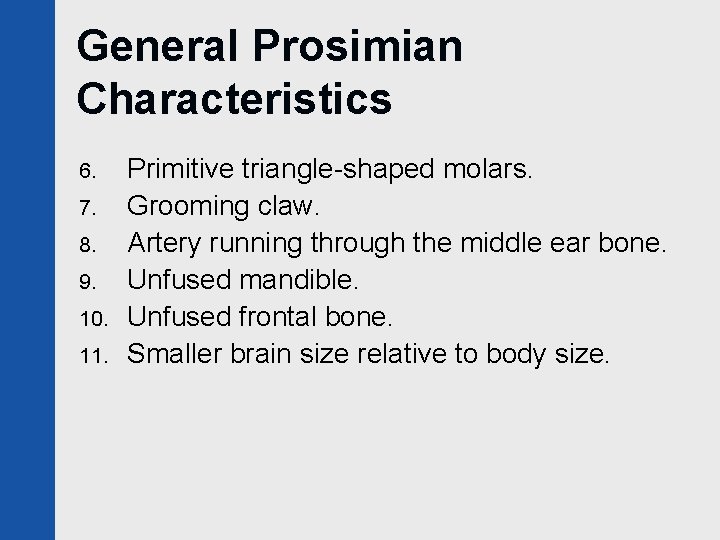 General Prosimian Characteristics 6. 7. 8. 9. 10. 11. Primitive triangle-shaped molars. Grooming claw.