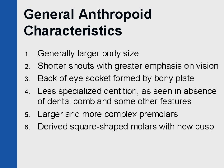 General Anthropoid Characteristics 1. 2. 3. 4. 5. 6. Generally larger body size Shorter