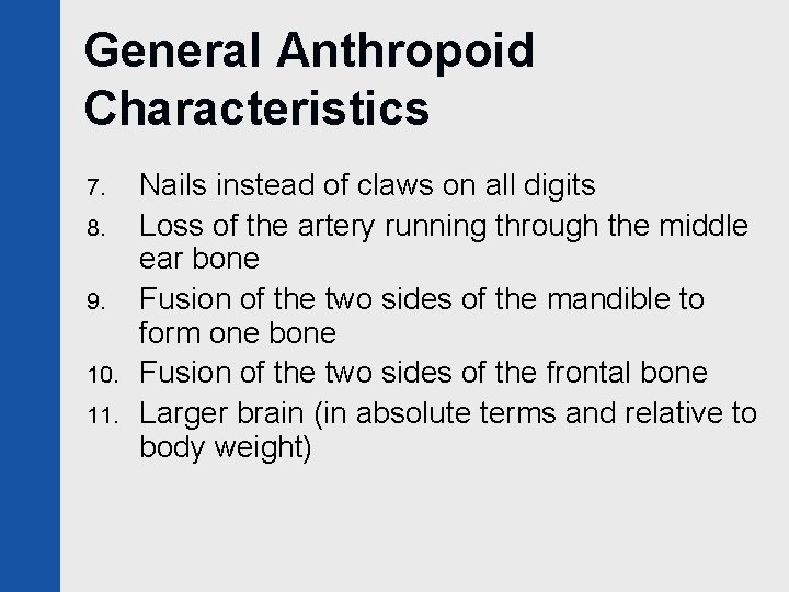 General Anthropoid Characteristics 7. 8. 9. 10. 11. Nails instead of claws on all