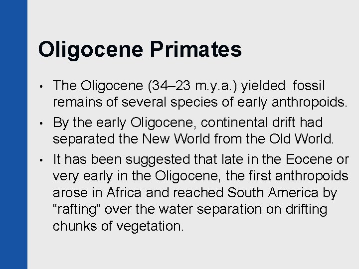 Oligocene Primates • • • The Oligocene (34– 23 m. y. a. ) yielded