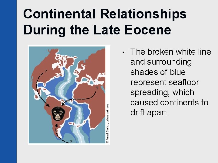 Continental Relationships During the Late Eocene • The broken white line and surrounding shades