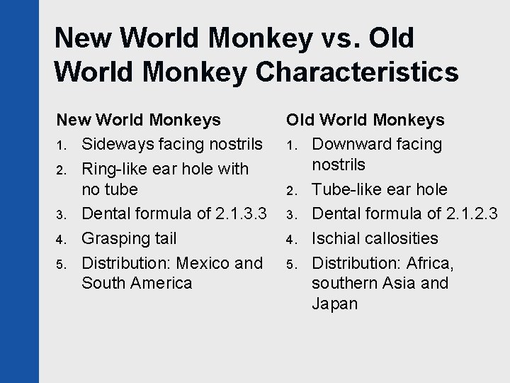 New World Monkey vs. Old World Monkey Characteristics New World Monkeys 1. Sideways facing