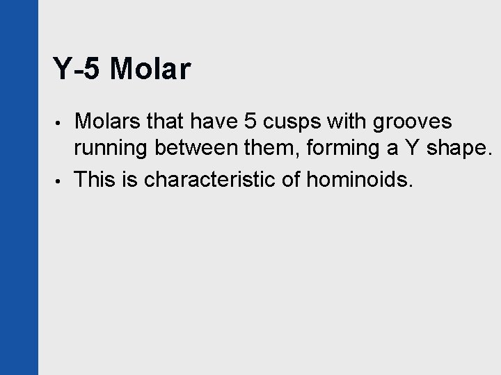 Y-5 Molar • • Molars that have 5 cusps with grooves running between them,