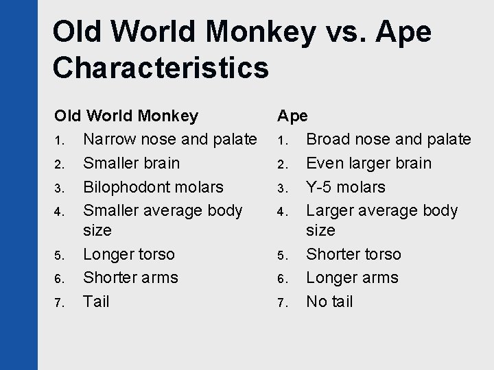 Old World Monkey vs. Ape Characteristics Old World Monkey 1. Narrow nose and palate