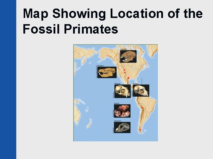 Map Showing Location of the Fossil Primates 