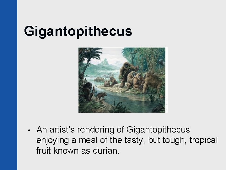 Gigantopithecus • An artist’s rendering of Gigantopithecus enjoying a meal of the tasty, but