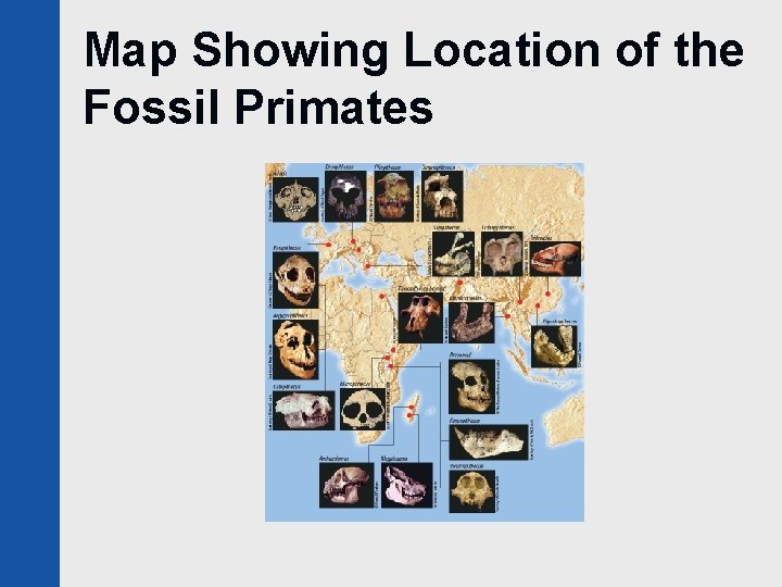 Map Showing Location of the Fossil Primates 