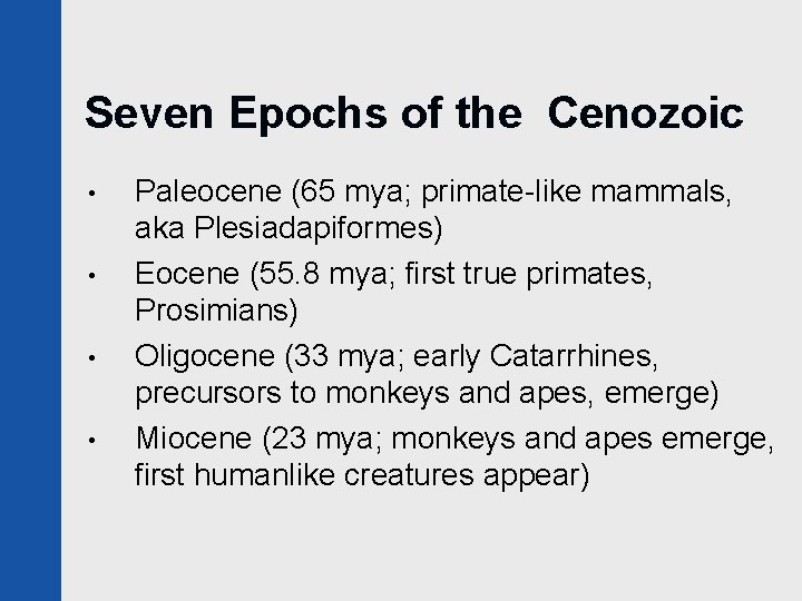 Seven Epochs of the Cenozoic • • Paleocene (65 mya; primate-like mammals, aka Plesiadapiformes)