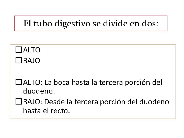 El tubo digestivo se divide en dos: �ALTO �BAJO �ALTO: La boca hasta la