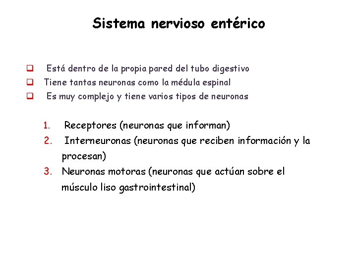 Sistema nervioso entérico q Está dentro de la propia pared del tubo digestivo q