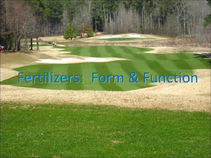 Fertilizers: Form & Function 