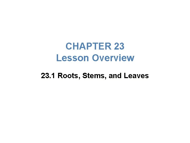 CHAPTER 23 Lesson Overview 23. 1 Roots, Stems, and Leaves 