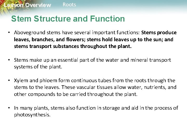 Lesson Overview Roots Stem Structure and Function • Aboveground stems have several important functions: