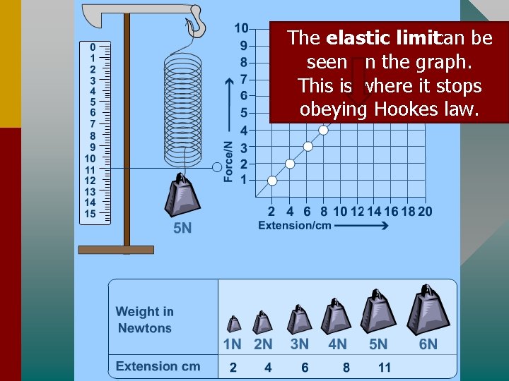 The elastic limitcan be seen on the graph. This is where it stops obeying