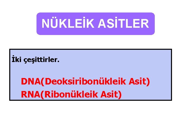 NÜKLEİK ASİTLER İki çeşittirler. DNA(Deoksiribonükleik Asit) RNA(Ribonükleik Asit) 