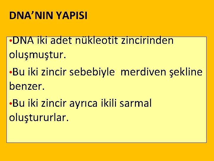 DNA’NIN YAPISI • DNA iki adet nükleotit zincirinden oluşmuştur. • Bu iki zincir sebebiyle