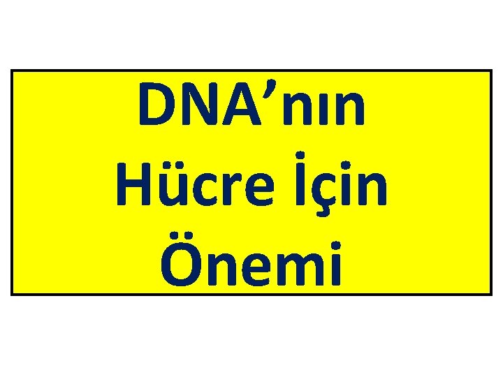 DNA’nın Hücre İçin Önemi 