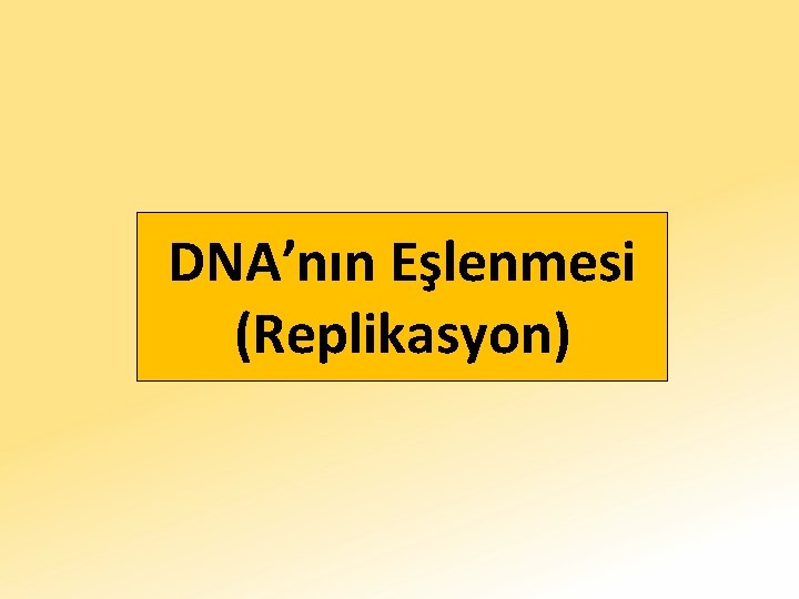 DNA’nın Eşlenmesi (Replikasyon) 