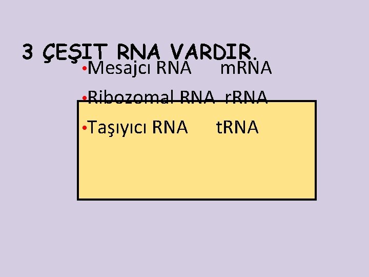 3 ÇEŞIT RNA VARDIR. • Mesajcı RNA m. RNA • Ribozomal RNA r. RNA