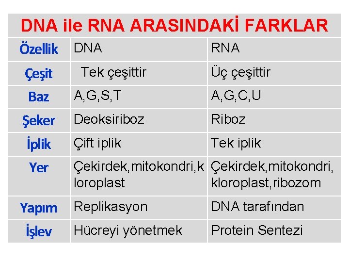 DNA ile RNA ARASINDAKİ FARKLAR Özellik DNA Çeşit Baz Tek çeşittir RNA Üç çeşittir