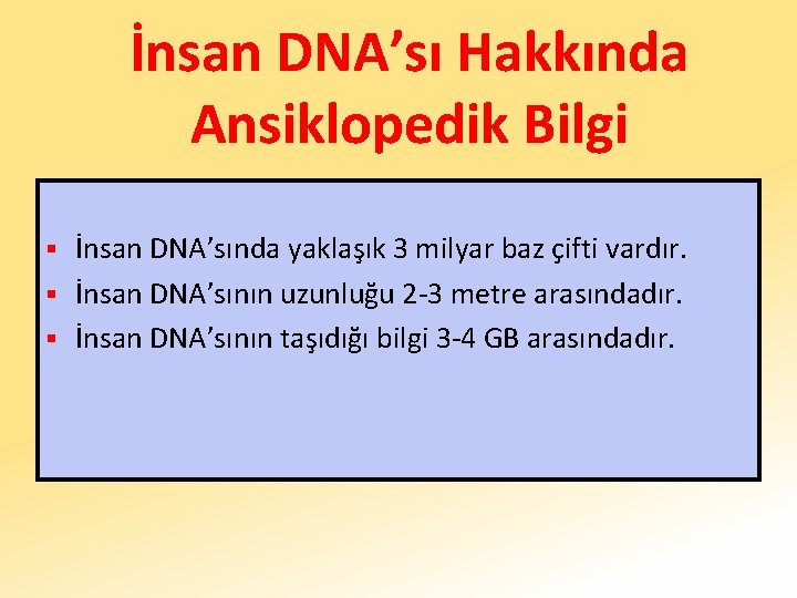 İnsan DNA’sı Hakkında Ansiklopedik Bilgi İnsan DNA’sında yaklaşık 3 milyar baz çifti vardır. §