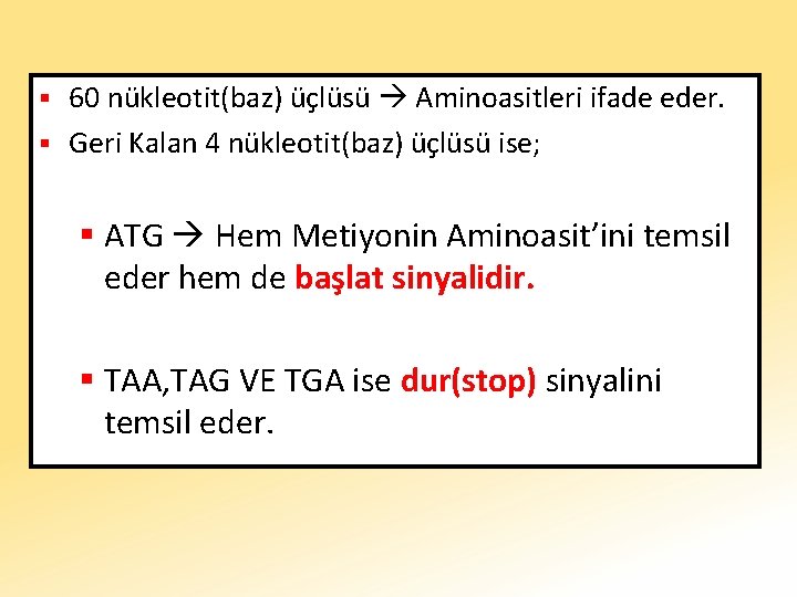 60 nükleotit(baz) üçlüsü Aminoasitleri ifade eder. § Geri Kalan 4 nükleotit(baz) üçlüsü ise; §