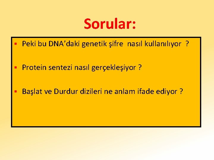 Sorular: § Peki bu DNA’daki genetik şifre nasıl kullanılıyor ? § Protein sentezi nasıl